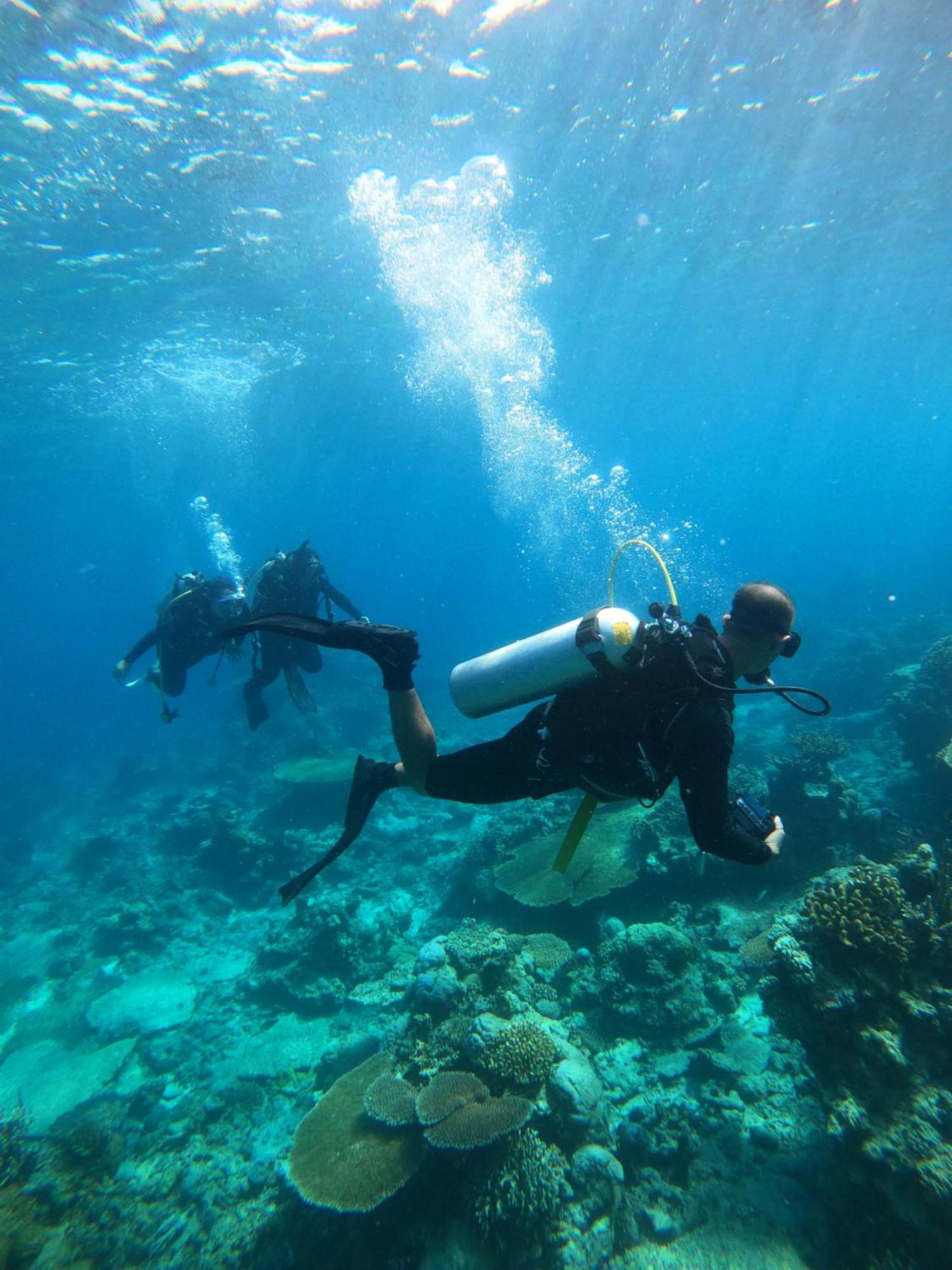 Natuna Dive Resort Ranai Exterior foto